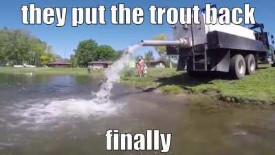 The trouts are back!!! 😊😊😊