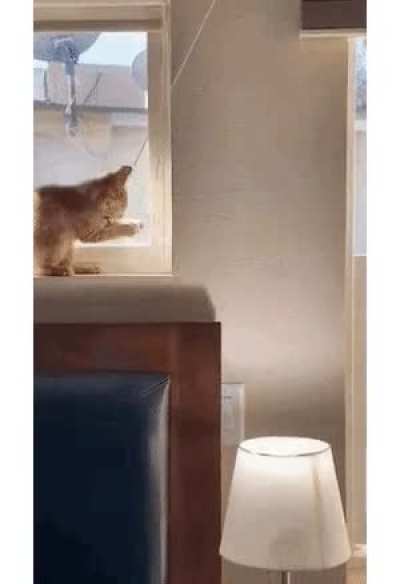 Do You See a Mouse?