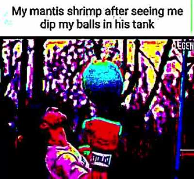 mantis cbt