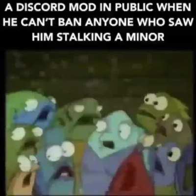 Discord Mods