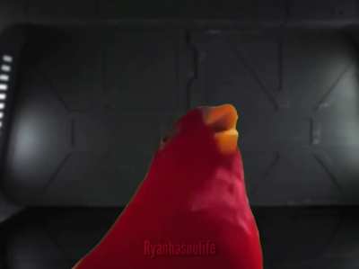 HEY!