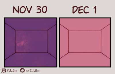 Furry_irl