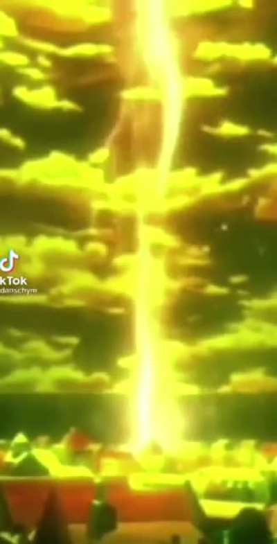 Attack On Cat