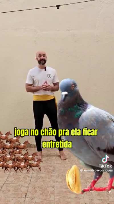 vou dizer nada nao