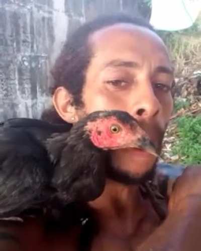 🐦