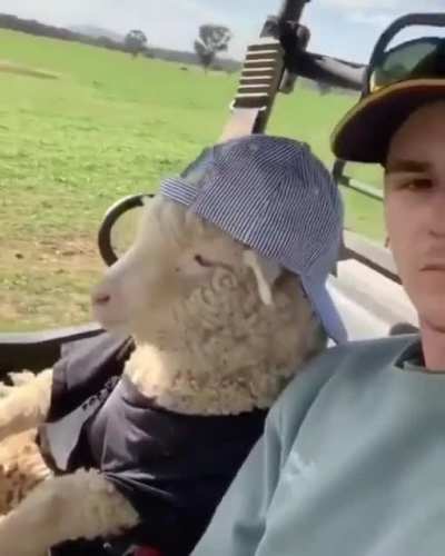😎 Conduciendo de panita 😎