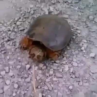 Attack