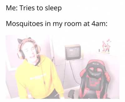 They do be vibin' tho