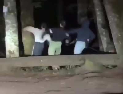 Forest boys