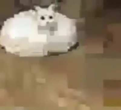 Roolě