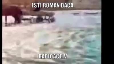 Esti roman?