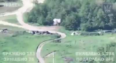 "Birds of Magyar" drone strikes on various ruzzian positions and equipment in Kherson Oblast from May 2024