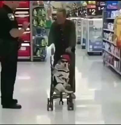 perros facheros