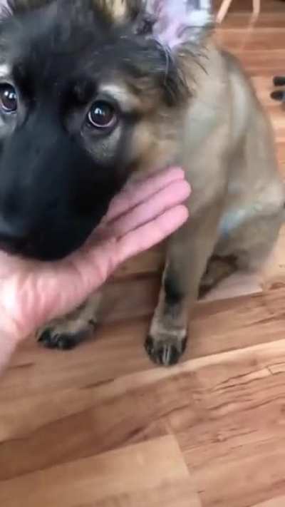 Such a gentle soul