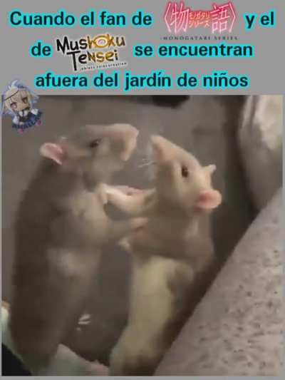 :3