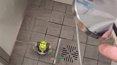 good luck, Shrek