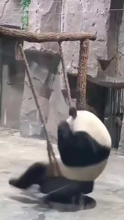Task failed successfully