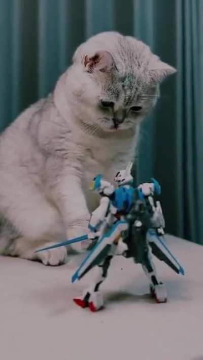 This cat kick gundam&rsquo;s ass