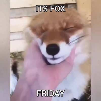 Frunkus Friday