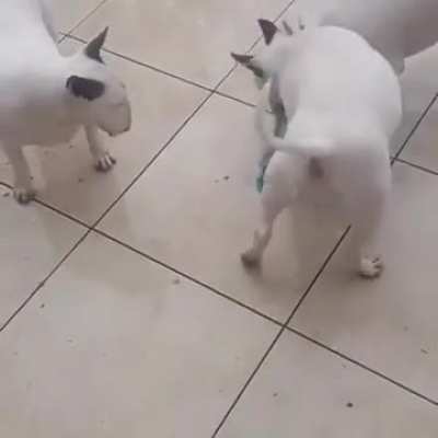 vacuum is stronger