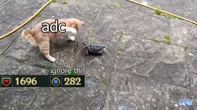 early game vs late game