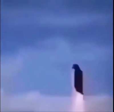 penguin. Ha