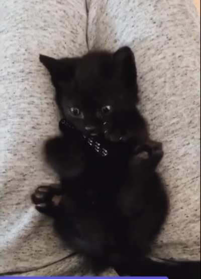 There&rsquo;s a foot? There&rsquo;s another foot? What?