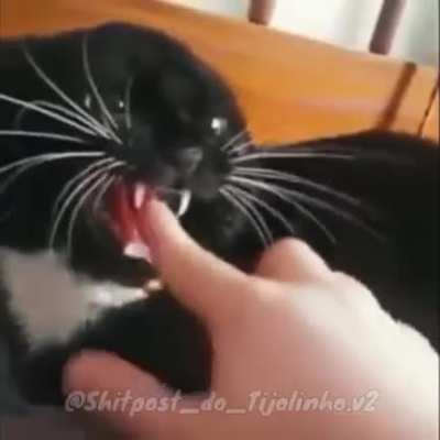 &amp;gt;=)