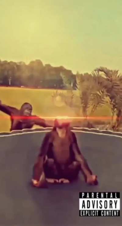 Macaco 👍