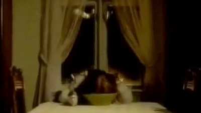Watch this scary video I made on DPH, on DPH. If you can handle it.