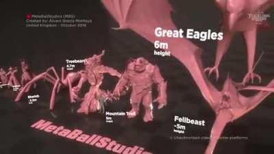 LOTR Size Comparison