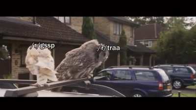 magical shitpost