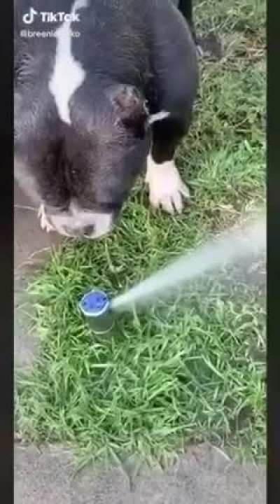 He&rsquo;s a bit thirsty