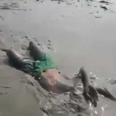 Bit of mud diving