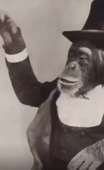 🐒🎩🗿