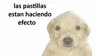 :(