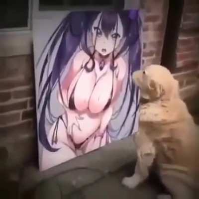doin dog da what