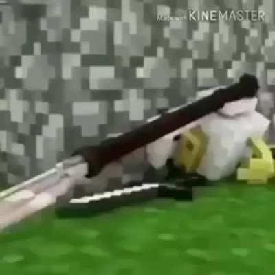 Pollito fight