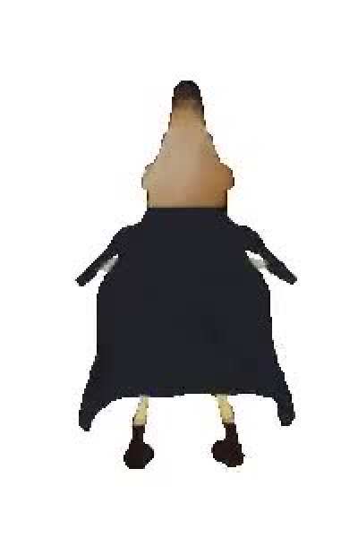 obamana