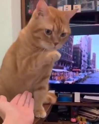Pathetic Human.....