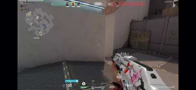 Ace with Reyna shockwaygaming on twitch