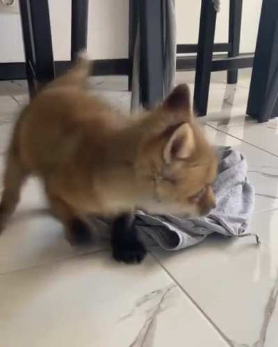 Playful kid