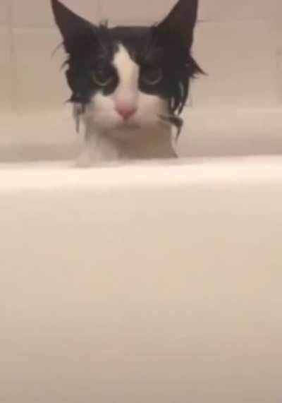 "Take a bath, they said. It will be fun, they said.&rdquo;