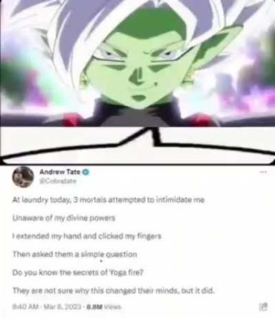 zamasu tate