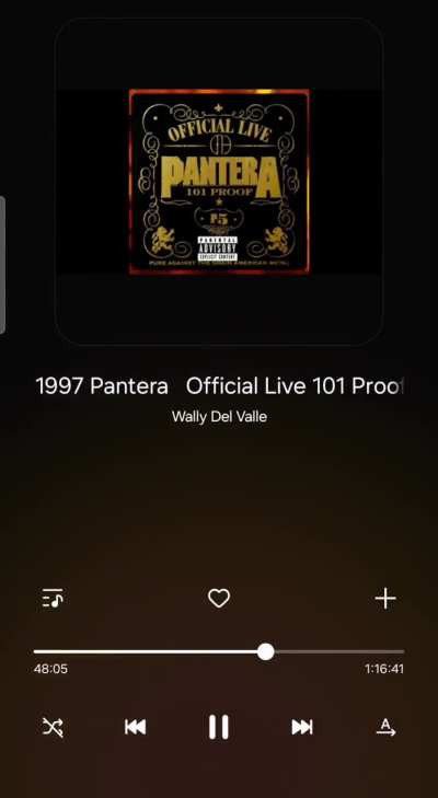 Why did Shave fronted for Pantera? Is he stupid?