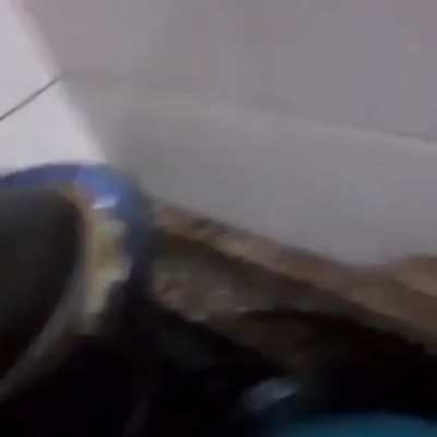Eu ia comer o meu hamb&uacute;rguer; -;