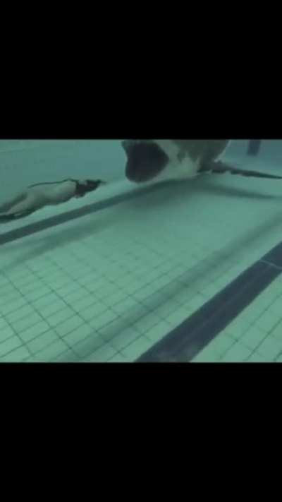 My irrational fear of pool explained