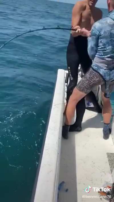 This grouper
