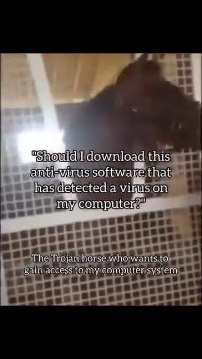 Trojan Horse