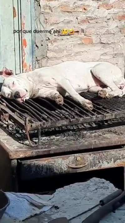 Domingo de asado